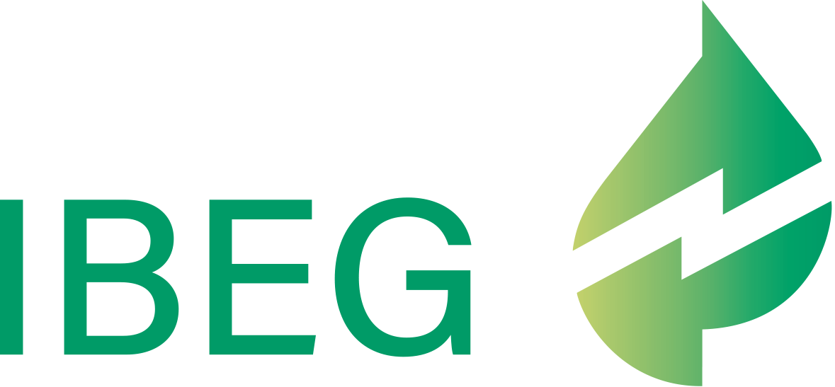 IBEG logo